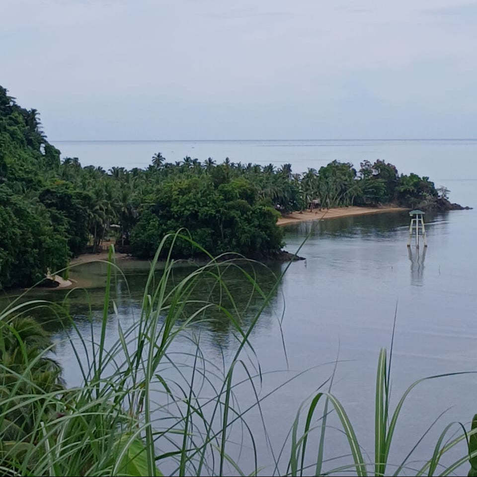 The Discovery Tour on Cutler's Run - June