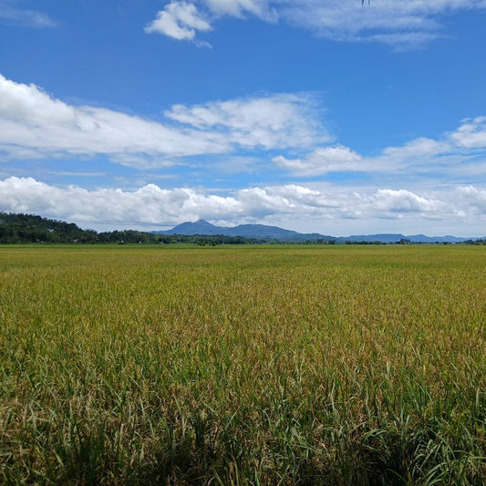 The Discovery Tour on Cutler's Run - March