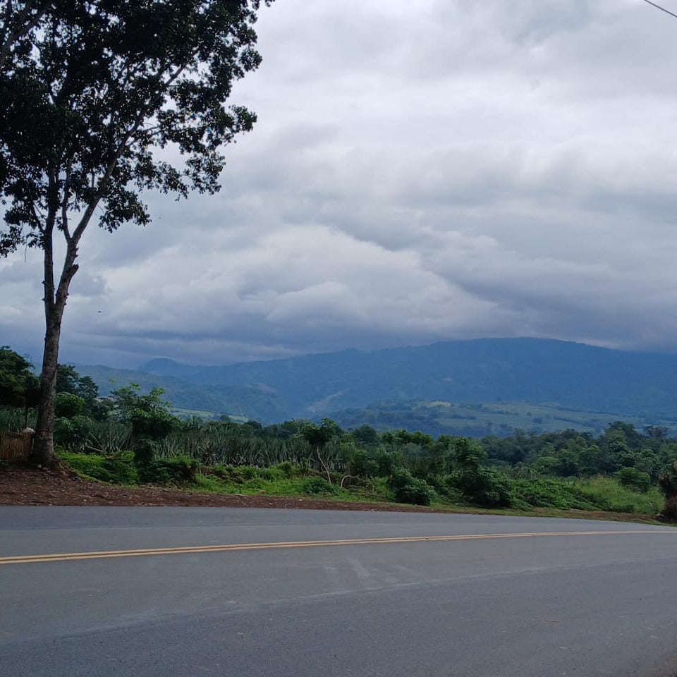 The Horizon Tour on Cutler's Run - May