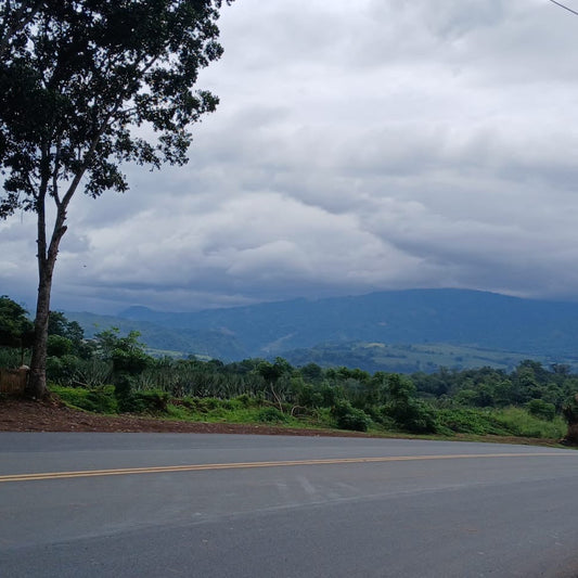 The Horizon Tour on Cutler's Run - May